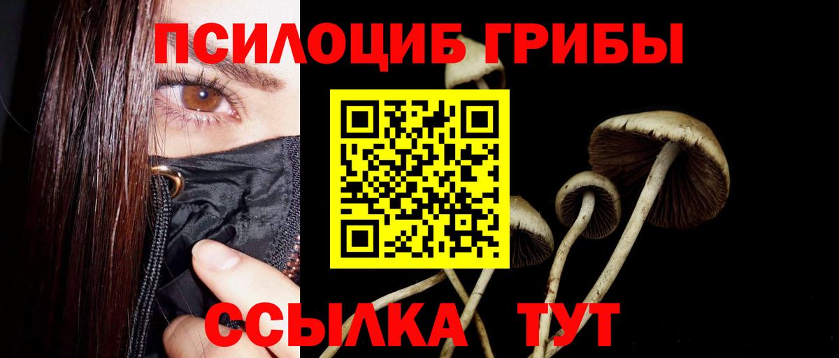 Галлюциногенные грибы мухоморы Бузулук
